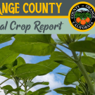 2022 Crop Report